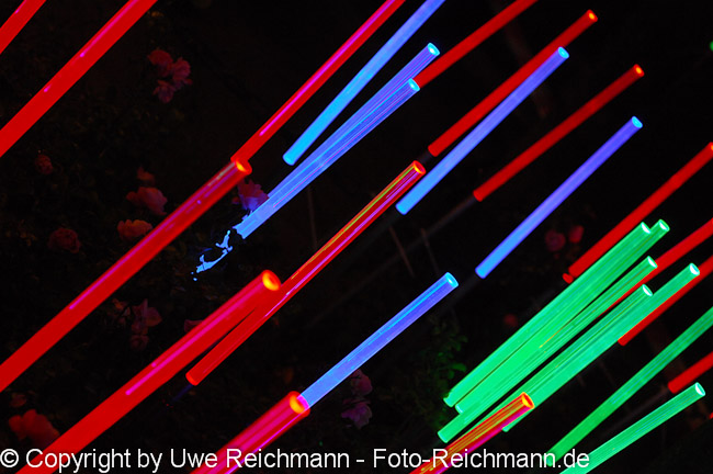 2010_09_25_20.51.04h_0068