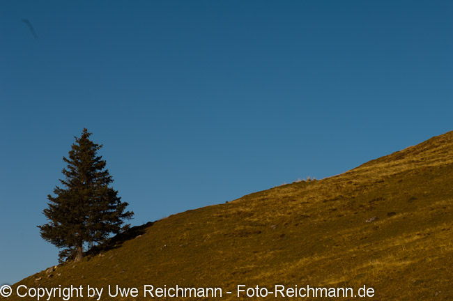 2010_10_11_17.21.26h_0440