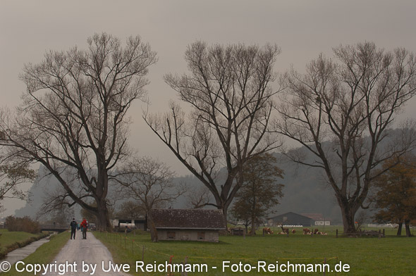 2010_10_13_15.23.50h_0155