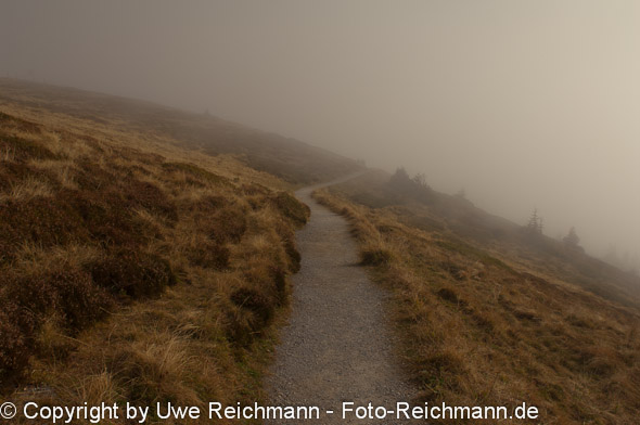 2010_10_14_14.49.06h_0135