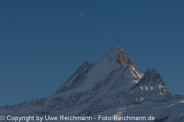 2010_10_14_16.45.14h_0552