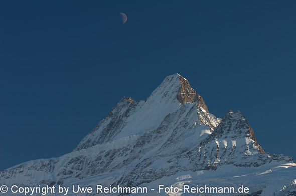 2010_10_14_16.46.28h_0557