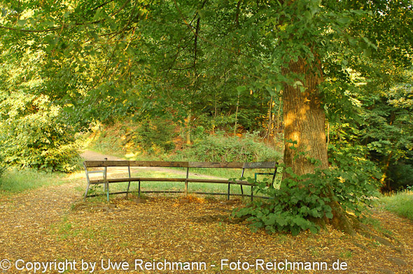 2011_07_15-20.22.58h_0205