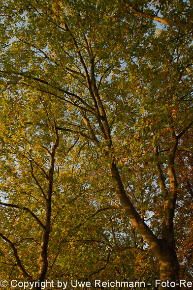 2011_10_02-18.02.12h_0285