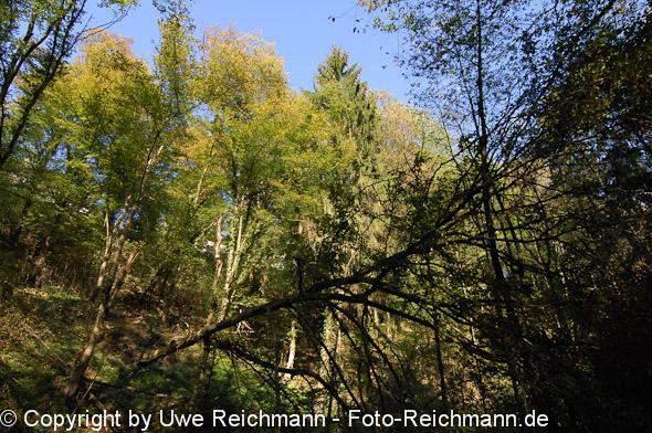 2011_10_16-14.23.04h_0283