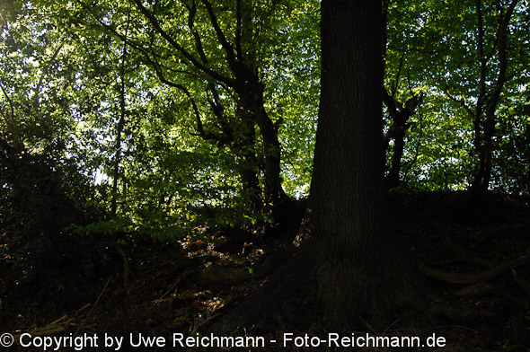 2011_10_16-14.35.16h_0301