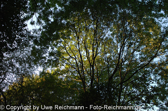 2011_10_23-17.36.20h_0089