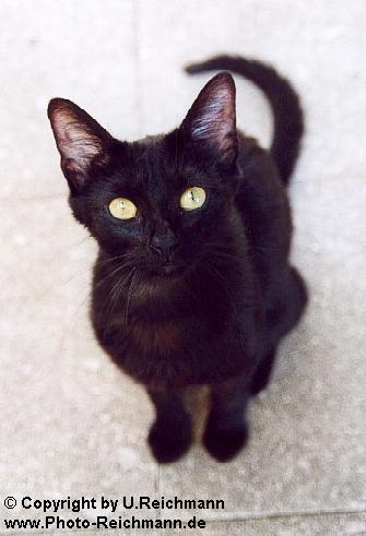 Click to enter - Name of the pic: 384n10aVertraueMir