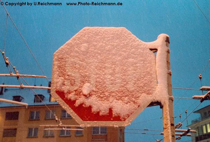 click here to enter the gallery