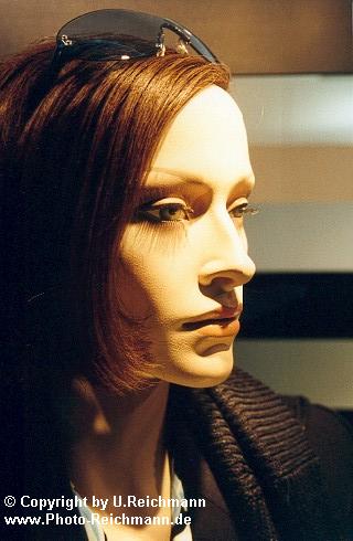 Zum eintreten in die 65.Galerie in das Bild klicken - to enter
the 65th gallery just click the picture