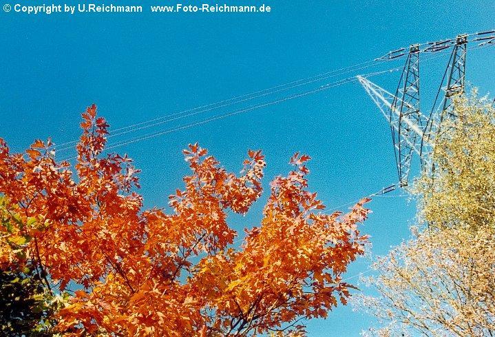 Zum Betreten der 69 Galerie in das Bild clicken - Click the picture to enter the 69th Gallery - Name of the Picture: 882n21a