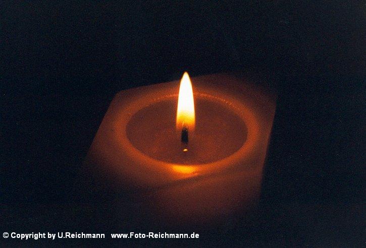 zum eintreten in die 71.Galerie in das Bild klicken !! click
the picture to enter the 71th gallery! Name of the Picture: 951n34a