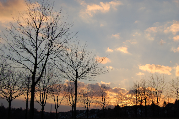 2007_03_02_17.52.10h