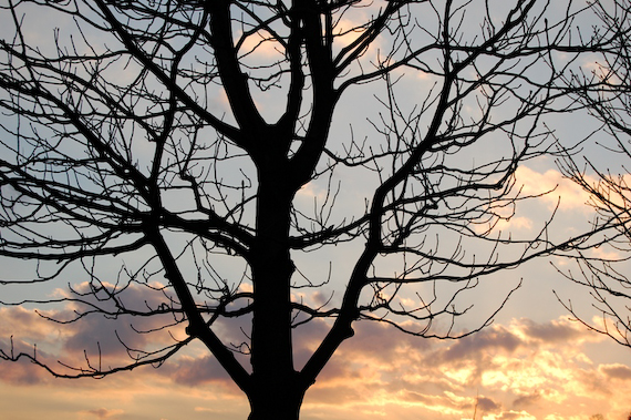 2007_03_02_17.54.00h2