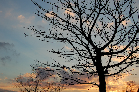 2007_03_02_17.55.36h