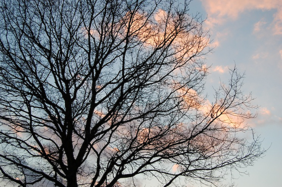 2007_03_02_18.01.50h