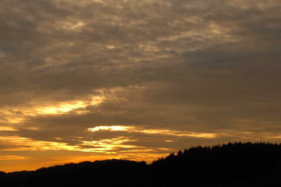 2007_10_20_17.57.02h