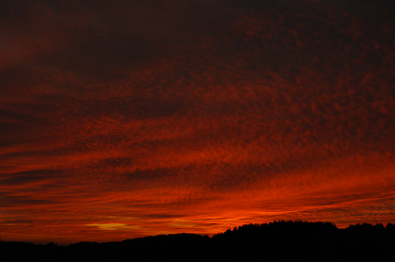 2007_10_20_18.36.52h