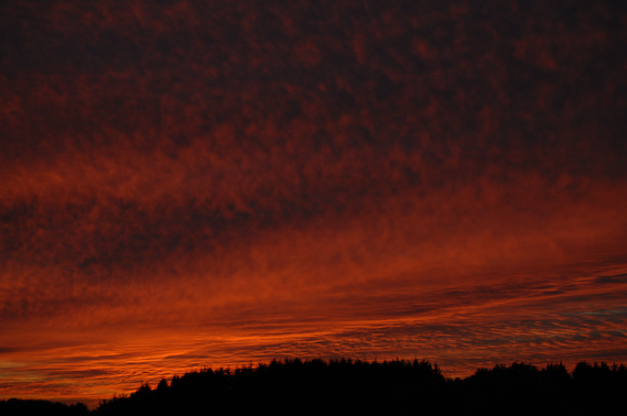 2007_10_20_18.37.14h