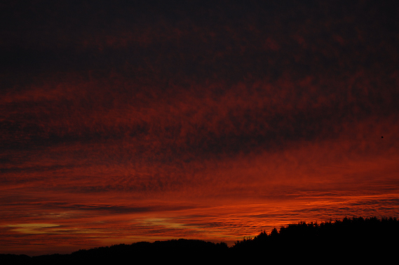 2007_10_20_18.39.14h