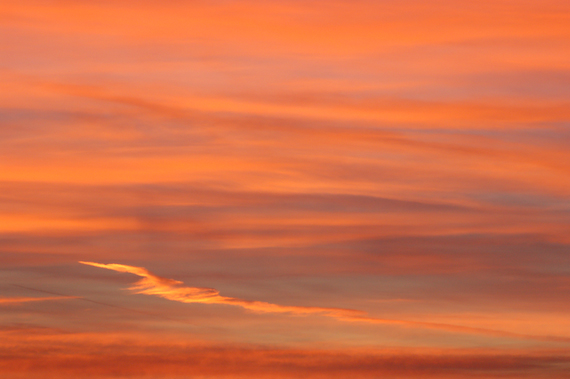 2007_02_17_07.26.40h_2