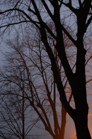 2007_02_18_17.55.54h