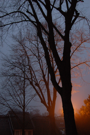 2007_02_18_17.57.44h